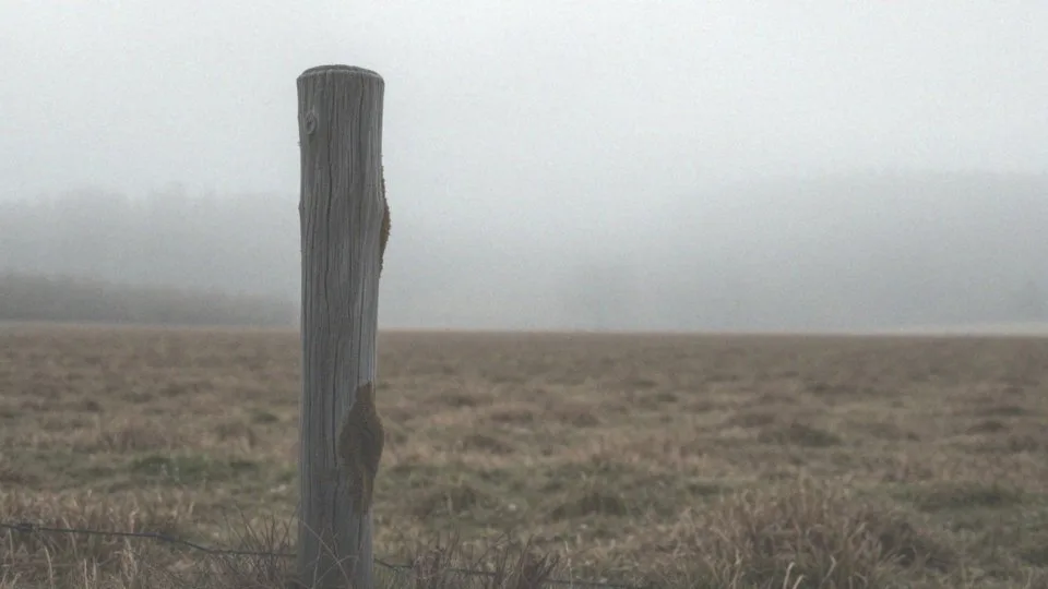 Jak zatrzymać włóknienie płuc? Skuteczne metody i leczenie