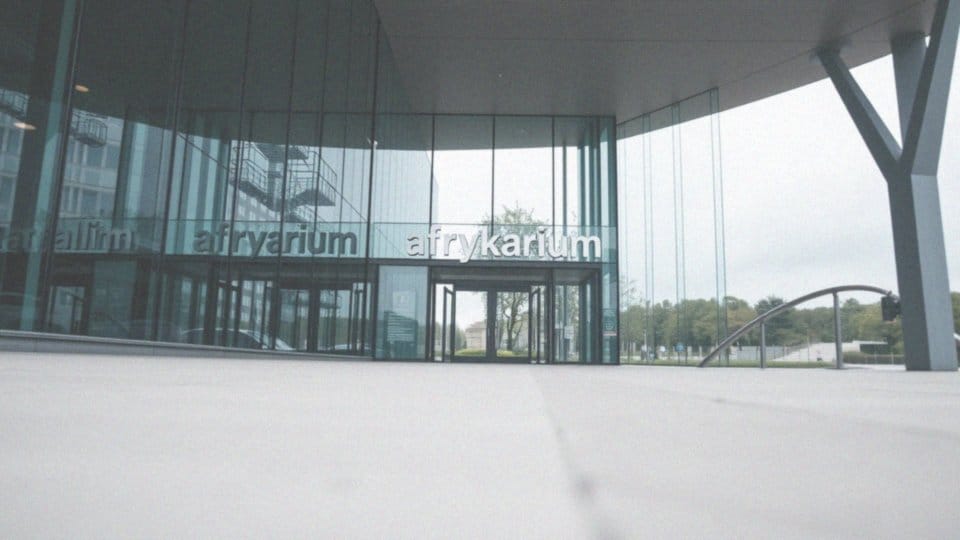 Największe oceanarium w Polsce – odkryj Gdyńskie Akwarium