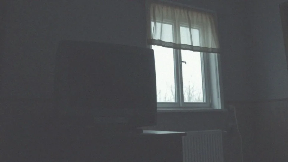 Oglądnąć czy obejrzeć? Różnice i poprawne użycie czasowników