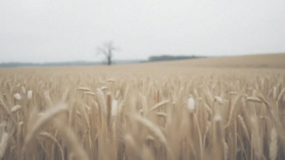Rak płuc nieoperacyjny – rokowania i metody leczenia