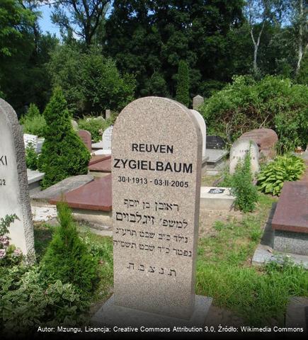 Reuven Zygielbaum