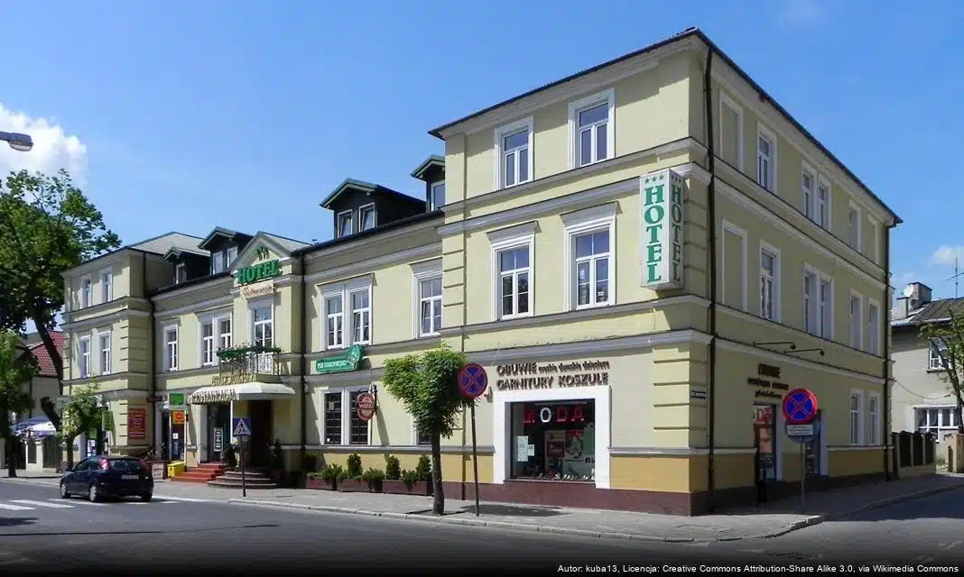 Finał IX edycji konkursu The Voice of Głowacki w Krasnymstawie